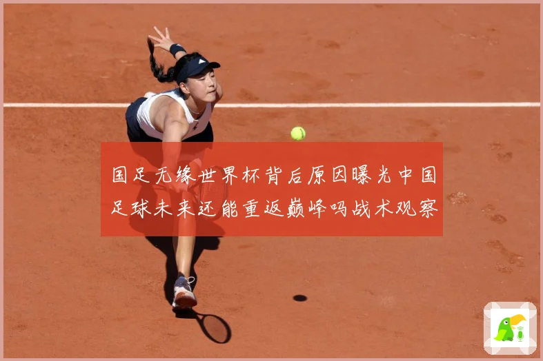 国足无缘世界杯背后原因曝光中国足球未来还能重返巅峰吗战术观察：最新赛事动态与深度分析